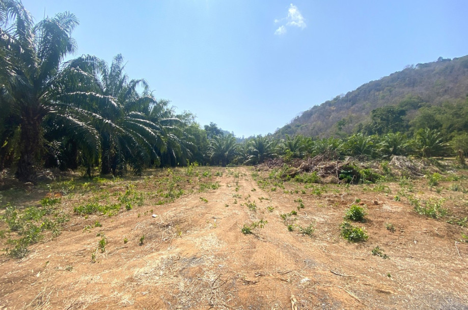 7 Rai of Flat land with Wonderful Mountain View for sale in Rawai, Phuket-2