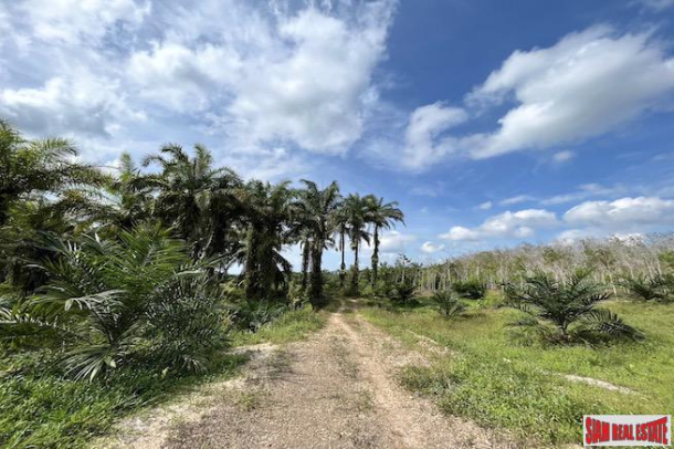 Beautiful 10.5 Rai Land Plot with Nice River Views for Sale in Peaceful Ao Leuk, Krabi-7