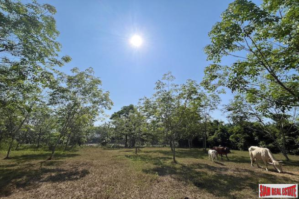 Lush Peaceful 9-2-89 Rai Land for Sale in Na Toei, Phang Nga-6