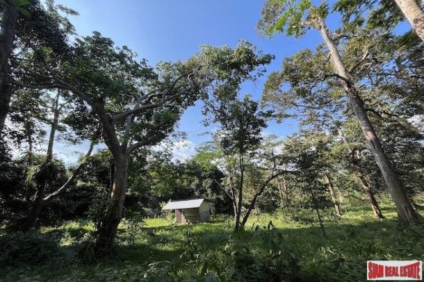 6 Rai Land Plot with Fruit Orchards for Sale in Takua Thung, Phang Nga-1