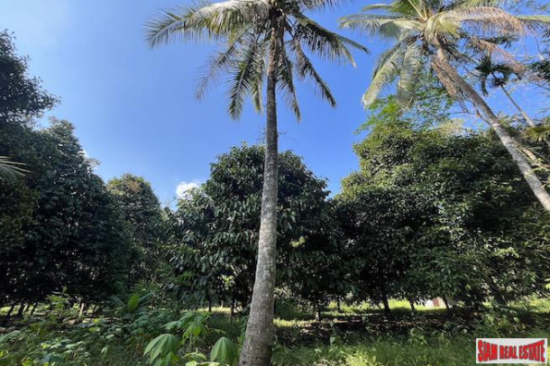 6 Rai Land Plot with Fruit Orchards for Sale in Takua Thung, Phang Nga-10