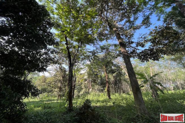 6 Rai Land Plot with Fruit Orchards for Sale in Takua Thung, Phang Nga-2