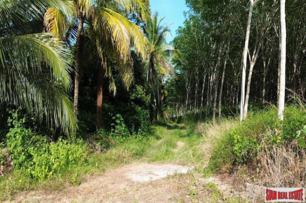 6 Rai Land Plot with Fruit Orchards for Sale in Takua Thung, Phang Nga-6