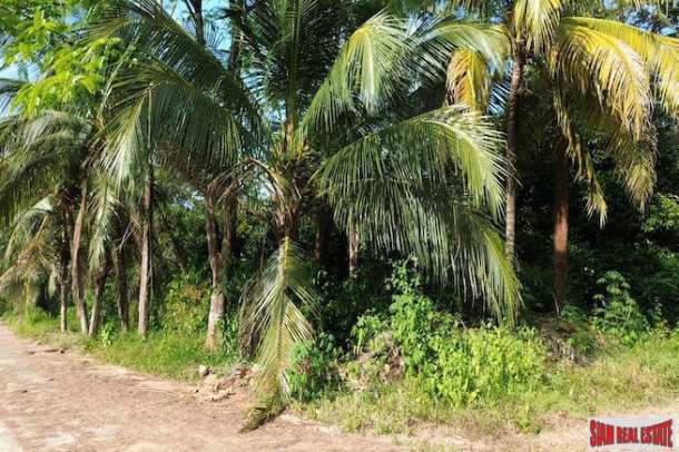 6 Rai Land Plot with Fruit Orchards for Sale in Takua Thung, Phang Nga-7