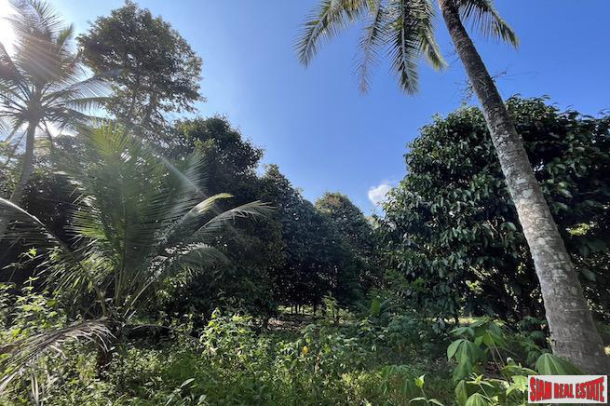 6 Rai Land Plot with Fruit Orchards for Sale in Takua Thung, Phang Nga-9