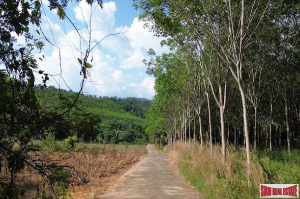 Nice 18+ Rai Land Plot with a Rubber Plantation for Sale in Takua Thung, Phang Nga-1