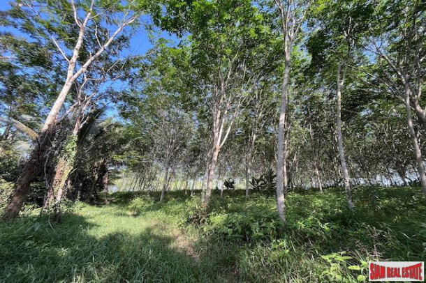 Nice 18+ Rai Land Plot with a Rubber Plantation for Sale in Takua Thung, Phang Nga-10