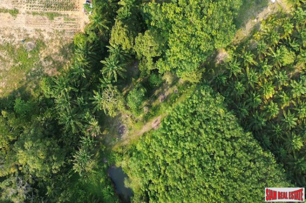 Nice 18+ Rai Land Plot with a Rubber Plantation for Sale in Takua Thung, Phang Nga-13