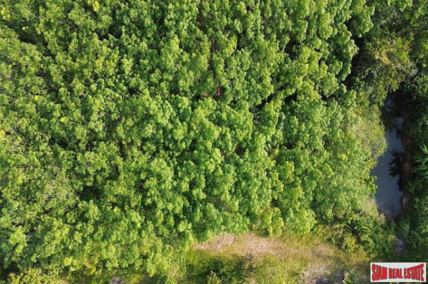 Nice 18+ Rai Land Plot with a Rubber Plantation for Sale in Takua Thung, Phang Nga-15