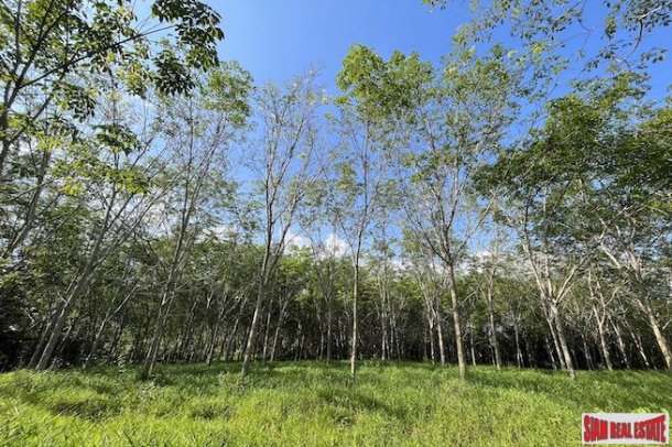 Nice 18+ Rai Land Plot with a Rubber Plantation for Sale in Takua Thung, Phang Nga-2