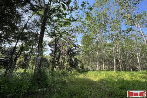 Nice 18+ Rai Land Plot with a Rubber Plantation for Sale in Takua Thung, Phang Nga-3