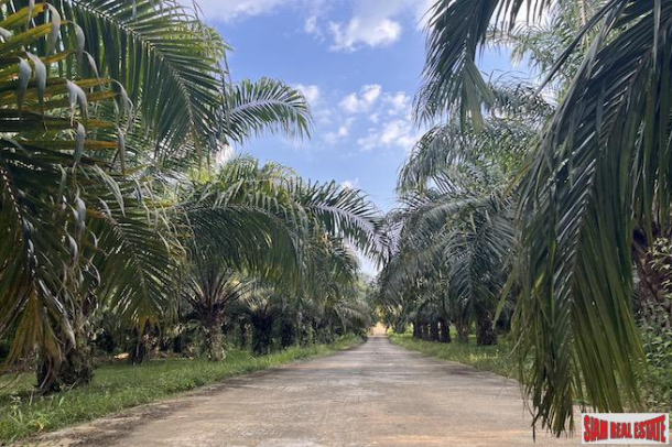 Majestic Mountain Views from this 22+ Rai Land Plot for Sale in Takua Thung-12